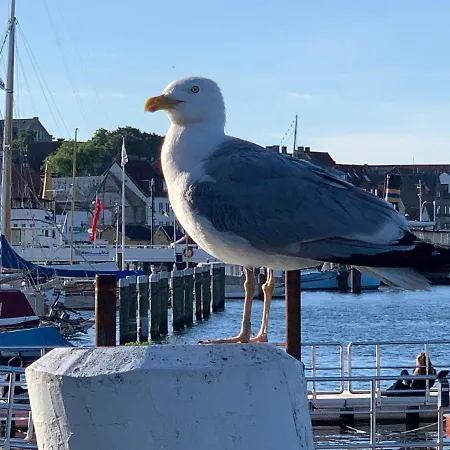 Fewo1846 - Moewensicht - Luxurioese Maisonettewohnung Mit Hafenblick Fuer 3 Personen * Flensburg